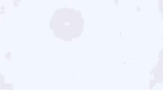 qiqi animated emote for Discord, Twitch and Slack