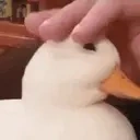 quack emote for Discord