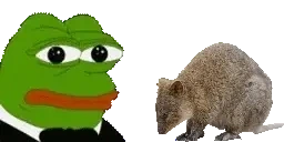 QUOKKA emote for Discord