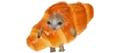 quasosis emote for Discord