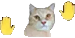 quesoqueso emote for Discord