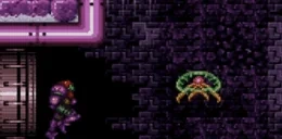 QUARTERHALFIE emote for Discord