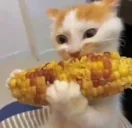 qqryzina emote for Discord