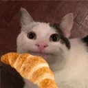 QUASO emote for Discord