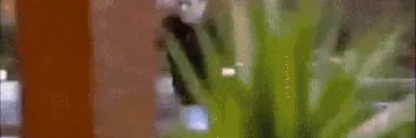 QUEBRATUDO emote for Discord