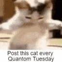 QuantomTuesday emote for Discord