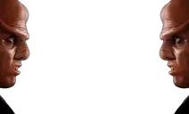 quarkkissquark emote for Discord