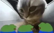 queremoschipichapa emote for Discord