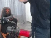 qBaxaDance emote for Discord