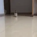 qq emote for Discord