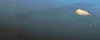 quotaJol emote for Discord