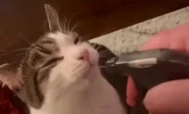 QuenchYoThirst emote for Discord