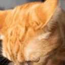 quhh emote for Discord