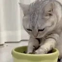 QueueAgain emote for Discord