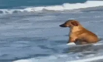 queuetimes emote for Discord