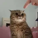 quieter emote for Discord