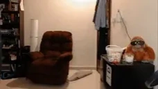 qlcArrive emote for Discord