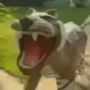 quebreifoitudoagoracompletamente emote for Discord