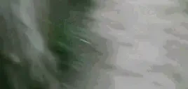 QuienSoLocoVo emote for Discord