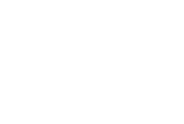 developer emote for Discord