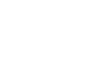 partner emote for Discord