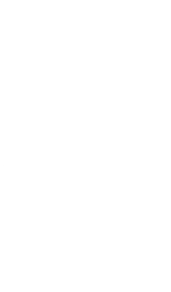 bolt emote for Discord