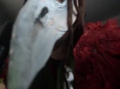 quinSNIFFA emote for Discord