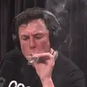 A1Musk emote for Discord