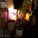 a1rHELLO emote for Discord