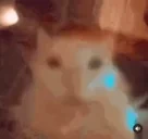 aaa emote for Discord