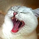 AAAA emote for Discord