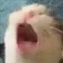 AAAA emote for Discord