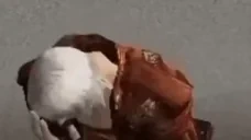 aaah emote for Discord