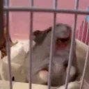 AAHHHH emote for Discord