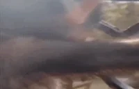 AAAAA emote for Discord