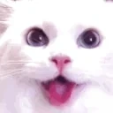 AA emote for Discord