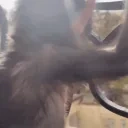 AAAAAAAAAAAAAAAAAHMonkey emote for Discord