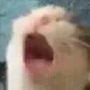 AAAAFast emote for Discord