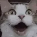 AA emote for Discord