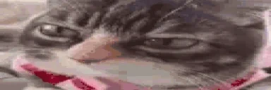 aaaaaaaaaaalright emote for Discord