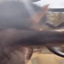 aaadyrakvchate emote for Discord