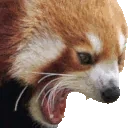 AAAA emote for Discord