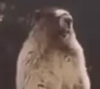 AAAHHH emote for Discord