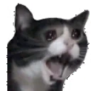 AAAAAA emote for Discord
