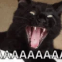 AAAAAAAAAAAAAAAAAAAA emote for Discord