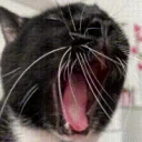 AAA emote for Discord