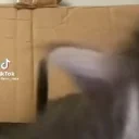 AAAAAAAA emote for Discord