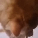 Aahhh emote for Discord