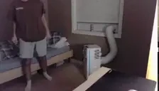 3dannyWap emote for Discord