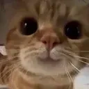 333 emote for Discord